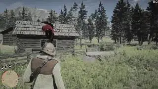 Red Dead Redemption 2 - Weapons Expert 2 Easy! Throwing Knife Challenge!