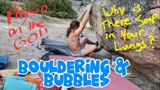 BOULDERING AND BUBBLES: Why Do We Need Soap in Our Lungs?