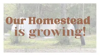 Moving Our Chickens & Growing Our Homestead