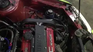 IMG 01671