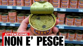 7 Marche di TONNO Italiano da EVITARE (ma 2 sono Ottime)