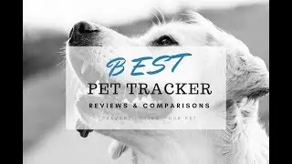 Pet Tracker - 5 Best Pet Trackers And GPS Collars