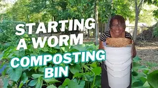  Starting a Worm Farm With 3 Buckets & 100 Red Wrigglers!🪱