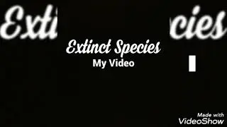 Extinct Animals information