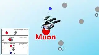 Beamline for Schools video (winning team reupload)