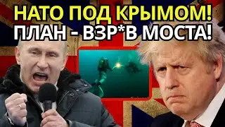 SENSATION: BRITISH DIVERS DETAINED NEAR THE CRIMEAN BRIDGE &ndash; A HIDDEN STRIKE!