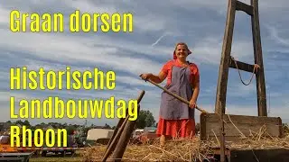 Graan dorsen met historische dorskast machine - Historische Landbouwdag Rhoon 2023