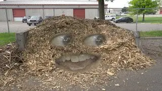 Free Woodchips! - June 2022
