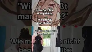 Hunde richtig von klein auf begr&uuml;ssen damit sie einen nicht anspringen...Dressur und Abrichten Hund