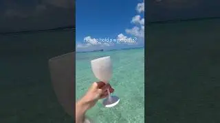 How to hold a wine glass?🍷
