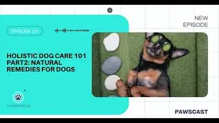 Natural Dog Remedies That Actually Work - Holistic Pet Care | Pawscast Ep. 23 Part 2