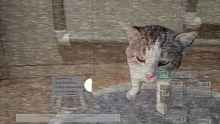 Пять ночей с Мурзиком.