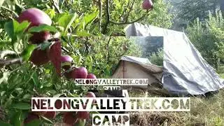 Nelong valley camp