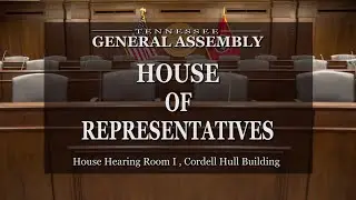 Joint Ad Hoc Committee to Review the Adequacy of the Supervision, Investigation and Release of Crim