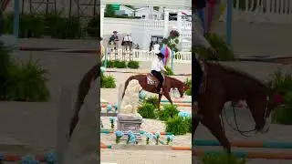 ￼30,000 NSBA Open Trail Challenge.4/25/2025 World Equestrian Center Ocala Fl. Last night