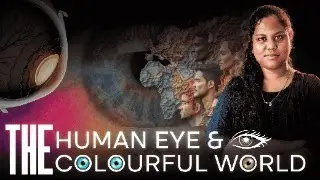 Human Eye & Colourful World | Class 10 | Easy Notes, Diagrams, MCQs, Summary | RGR ACADEMY