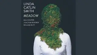 Meadow