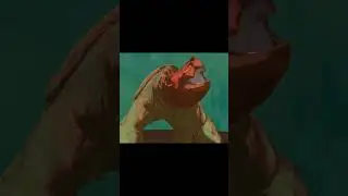 Extremely rare dancing turtle