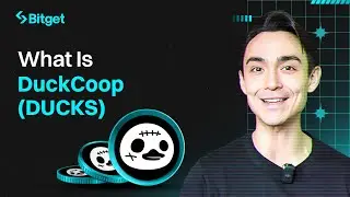 What is DuckCoop? Earn Rewards by Playing Games and Sharing Memes