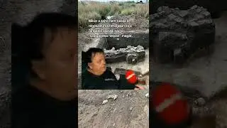 Nem kell ide szakember