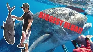 Spearfishing Hawaii REDEMPTION My BIGGEST ULUA!!