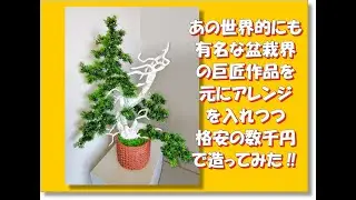 超～高額 ⁉ 有名巨匠の真柏盆栽を参考に数千円で造ってみた　Bonsai