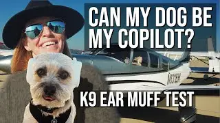 K-9 Ear Muff Review | Flight Training for My Dog! | Can my dog become my Co-Pilot? | Mutt Muffs
