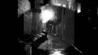 Bitch Alert - City Lights