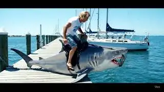 Florida Man Rides Shark
