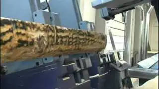 Primultini SGATRONCHI inclinat