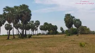 Urban Area View of Phnom Penh-Cambodia [Cambodian Countryside Lifestyle]