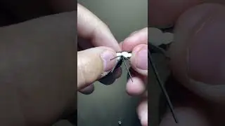 How to Tie a Spider