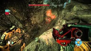 Evolve, Bucket is OP!