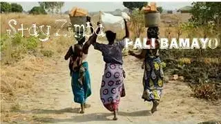 Stay Zimba   Paliba Mayo
