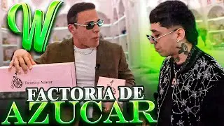 NUEVO RESTAURANTE DE WESTCOL EN MIAMI