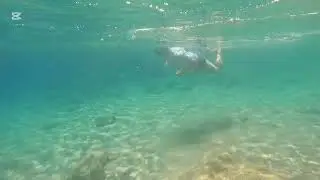 Snorkling in Kos , Camel Beach