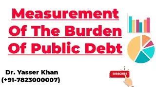 Measurement Of The Burden Of Public Debt