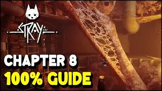 Stray CHAPTER 8: THE SEWERS 100% Guide (All Collectibles & Trophies / Achievements)