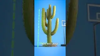 The real incident of Arizona registan @zackdfilms