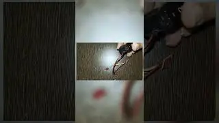 LED Control with touch sensor