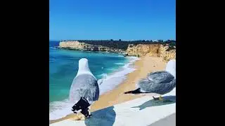 Algarve Secret Spots 🟢Algarve Discovery | Exploring like a local | Algarve | Portugal