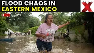 Mexico Floods LIVE: Roads Blocked, Homes Submerged; Flood Debris Slows Emergency Teams In Mexico