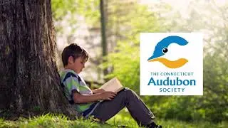 CT Audubon Conservation Impact
