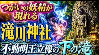 三島の瀧川神社🐲🐉🧚🐦‍🔥の滝に現れる不思議な存在？   #パワースポット#瀬織津姫命#龍神