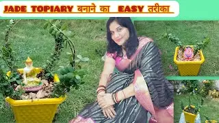 Jade plant topiary and propagation //easy topiary garden idea//jade topiary and bonsai 