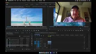 Dissolves Not Working in Premiere Pro