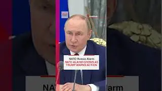 Россия пугает страны НАТО, а Трамп выступил с резким предупреждением в отношении Латинской Америки.