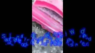 Kennedy Hannah and Haley Rock Cycle Video