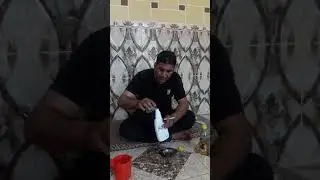 طريقة رش خل التفاح قاتل القمل والفاش والطفيليات الاخرى تزيد نشاط وجمالية الطائر