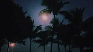 FIBRE - Skylight Ballad